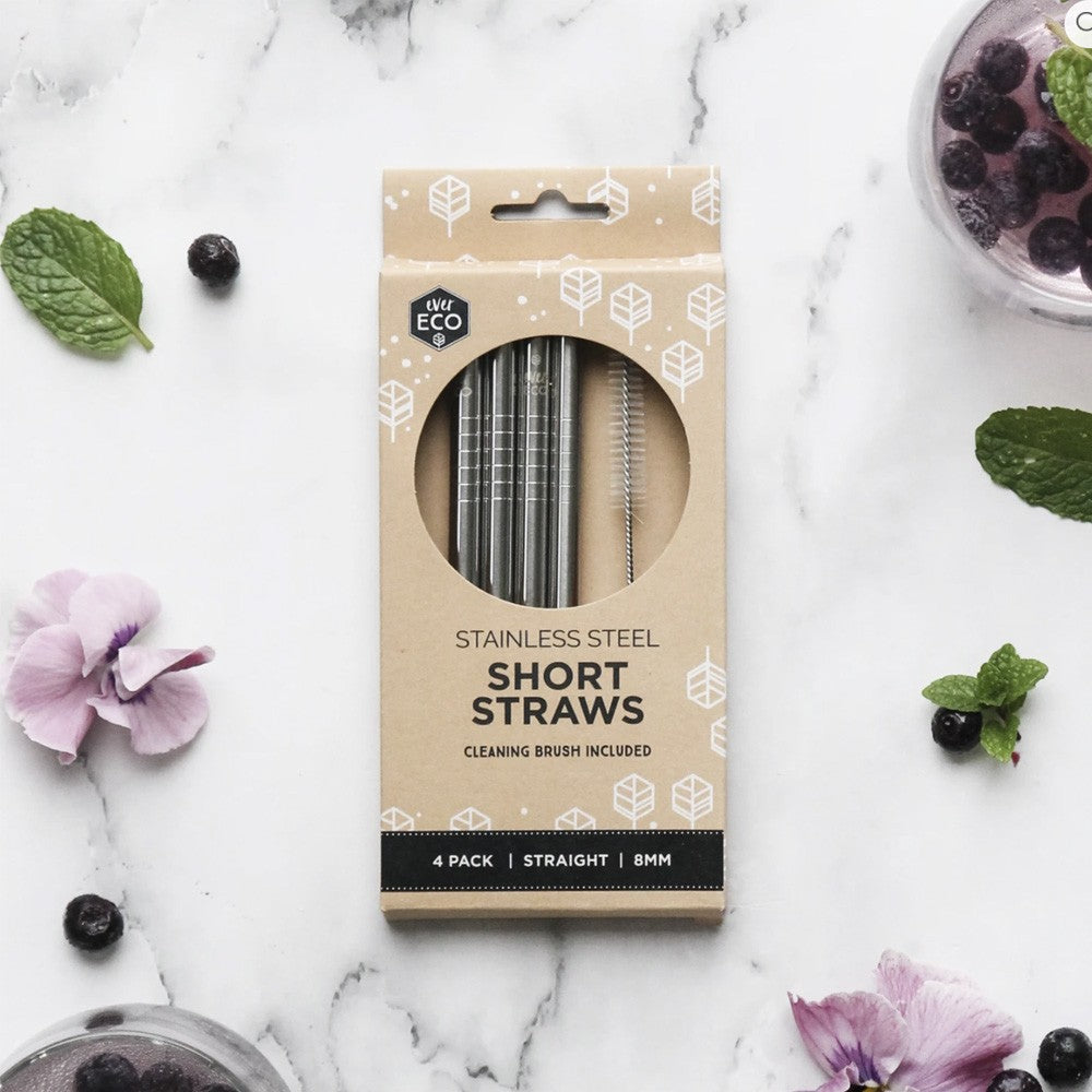 Ever Eco Stainless Steel Short Straws - 4pk straight with cleaner image 0