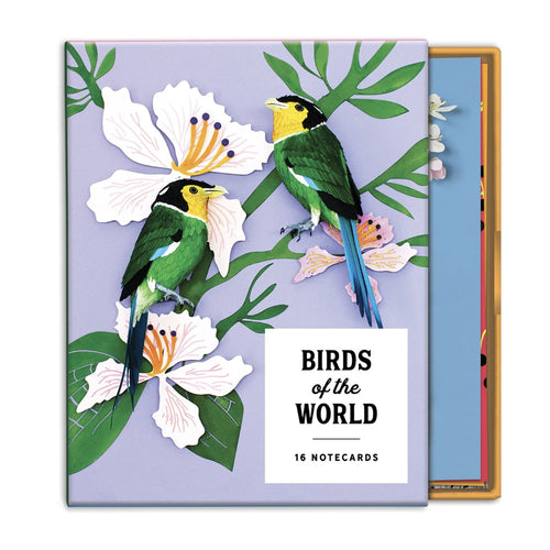 Birds of the World Note Card Set image 0