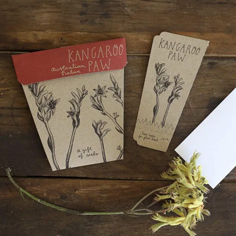 Sow n Sow Seeds Kangaroo Paw image 0