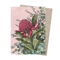 Earth Greeting Card Pink Waratah image 0