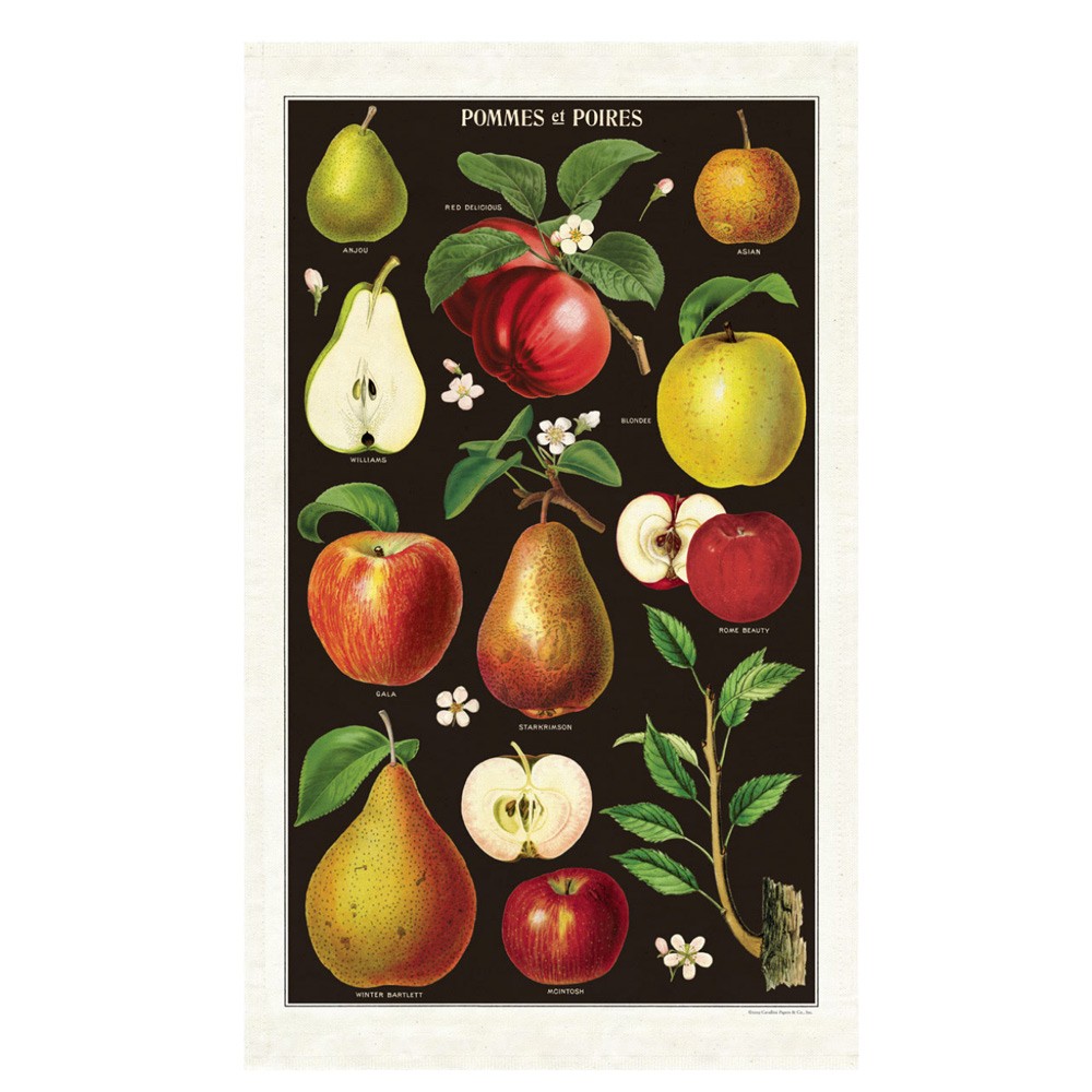 Vintage Tea Towel - Apples & Pears image 0