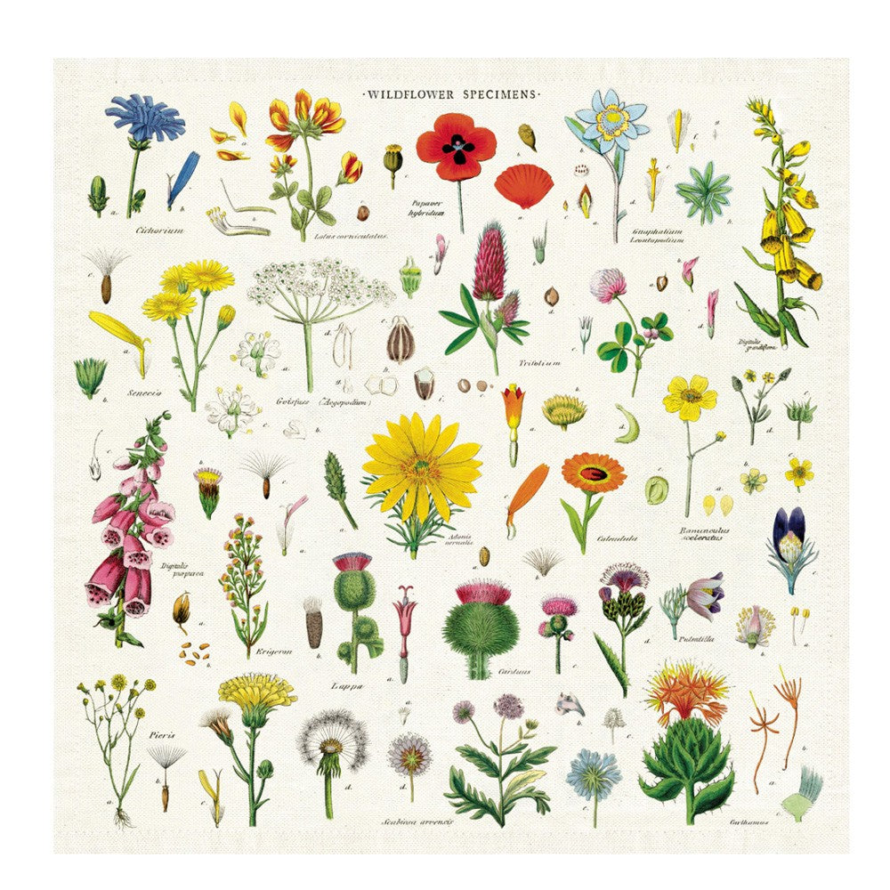 Vintage Napkins 100% Natural Cotton Set of 4 - Wildflower image 0