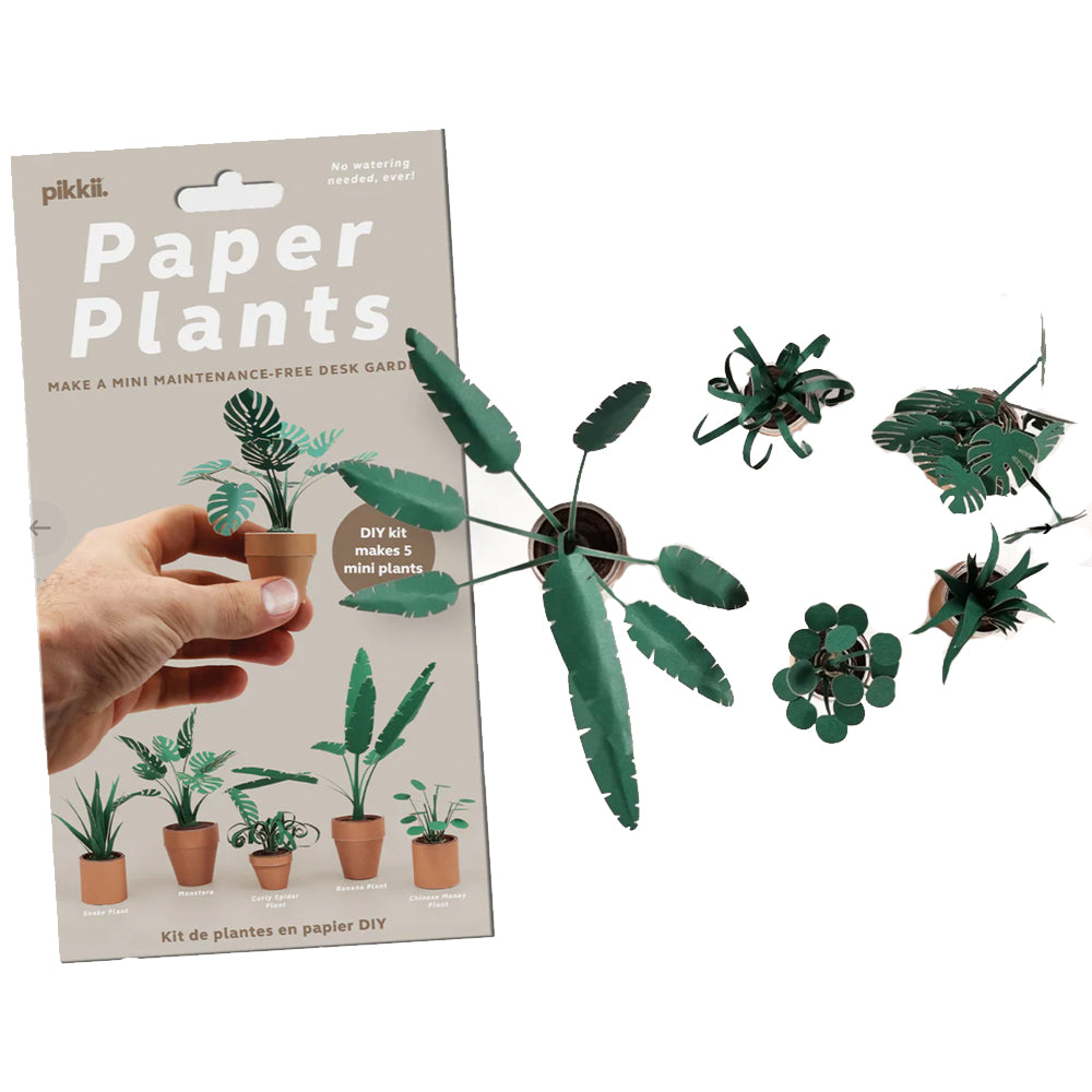 DIY Mini Paper Plant Kit image 0