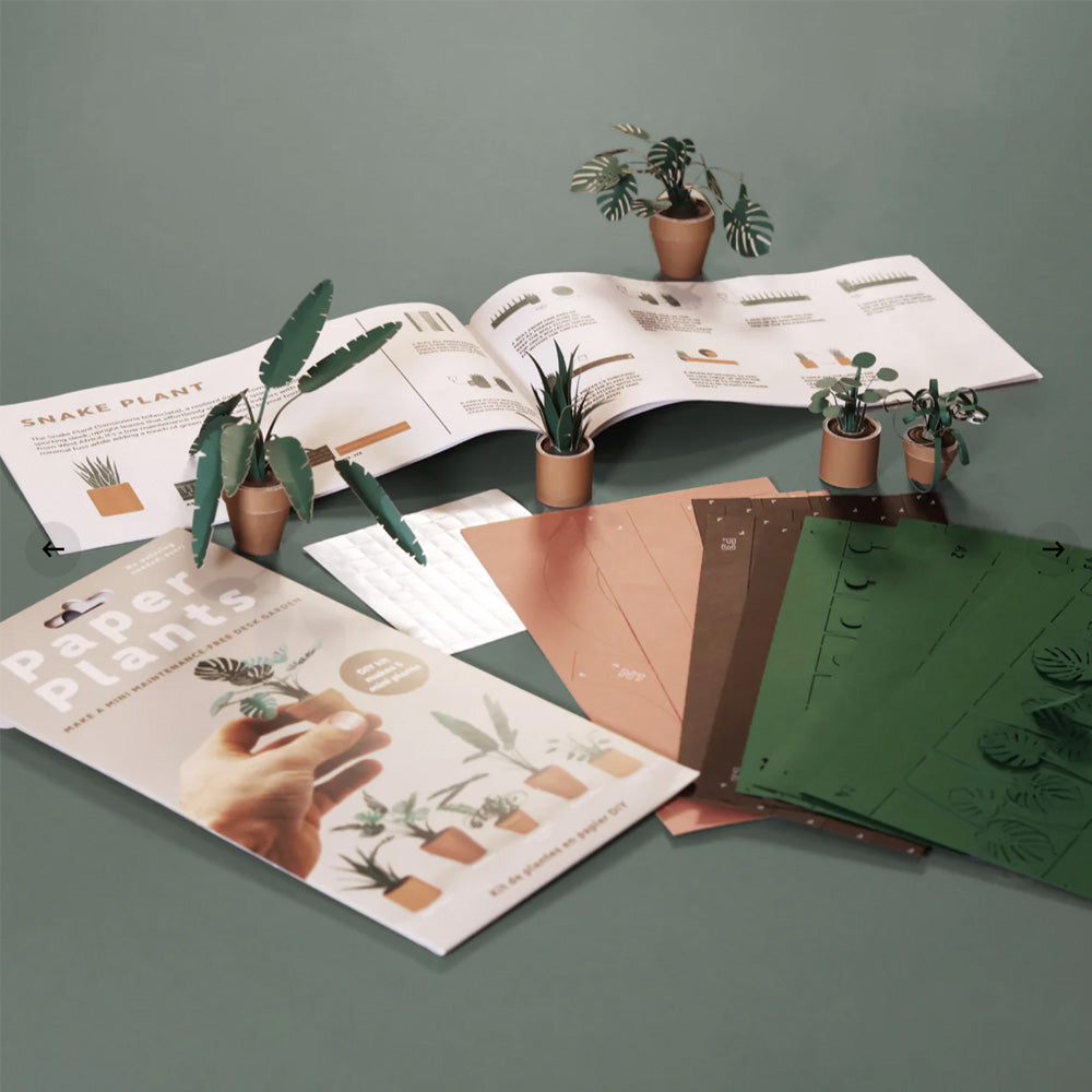 DIY Mini Paper Plant Kit image 1