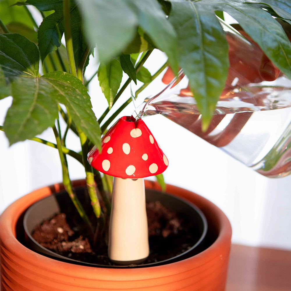 Amanita Watering System image 0