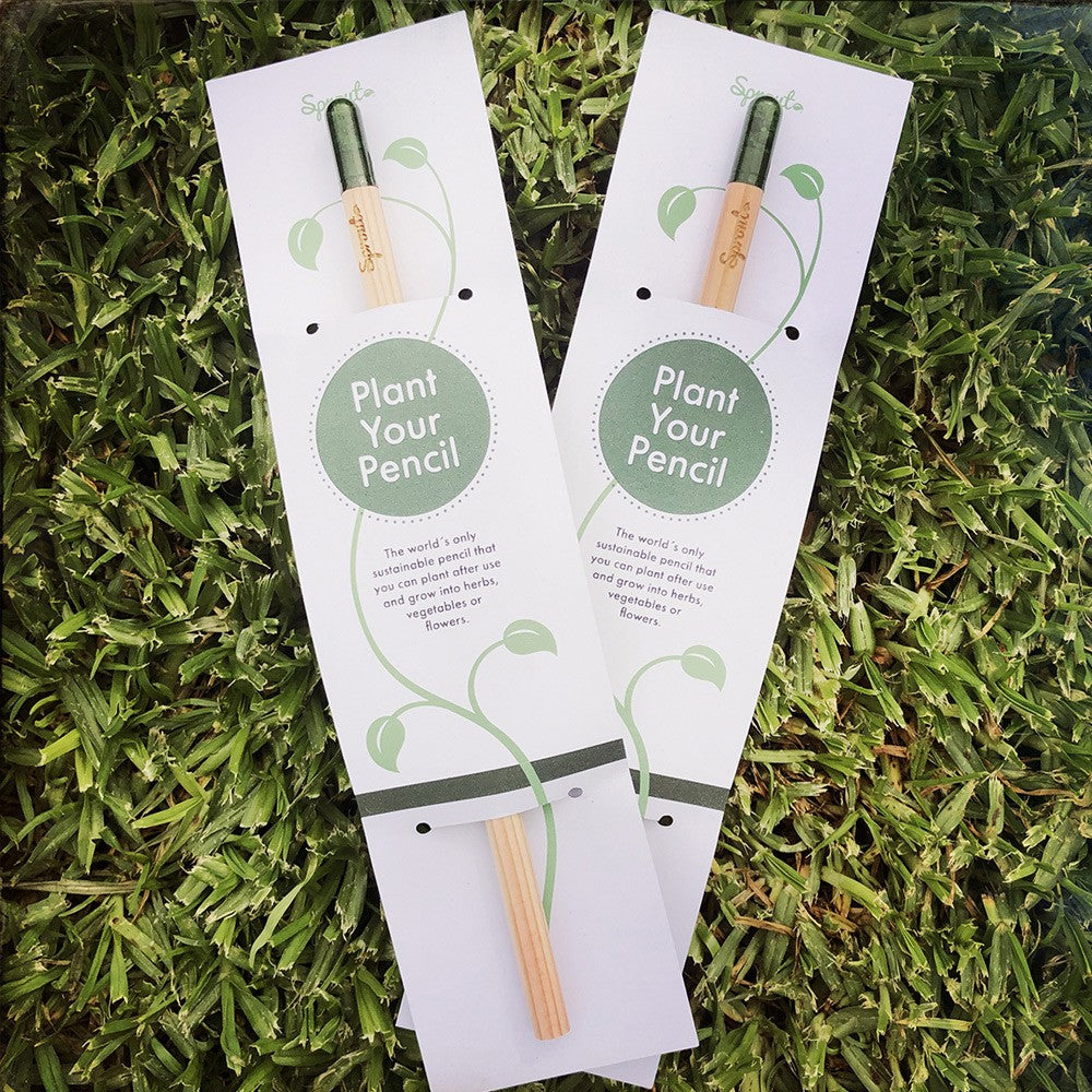 Sprout Plant your Pencil - Coriander image 0