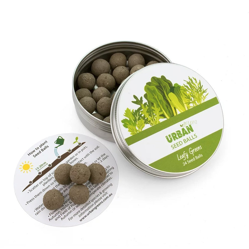 Urban Greens Seed Balls - Leafy Greens image 0