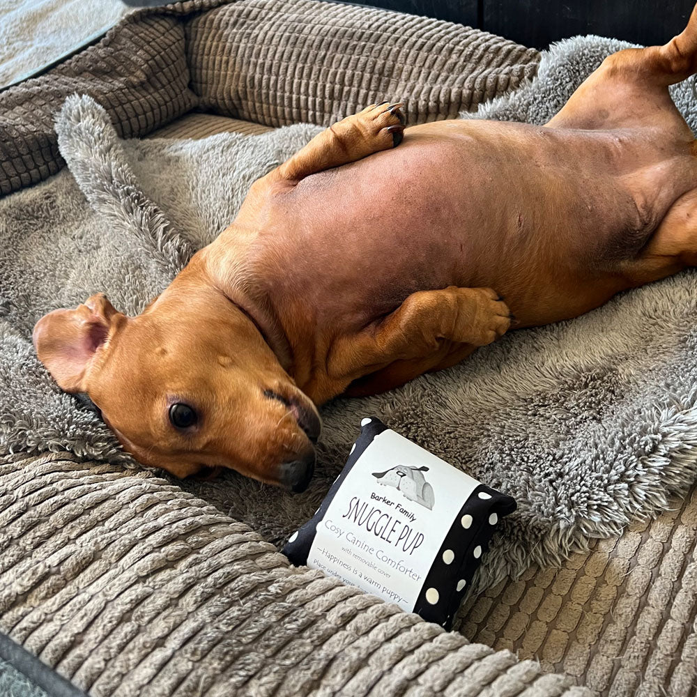 Snuggle Pup Heat Pack for dogs image 0