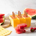 Silicone Ice Block Moulds 12pk image 0