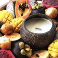 Tropical Fruits Coconut Candle that smells AMAZING image 0