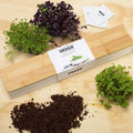 Urban Greens Microgreens Windowsill Grow Kit image 0