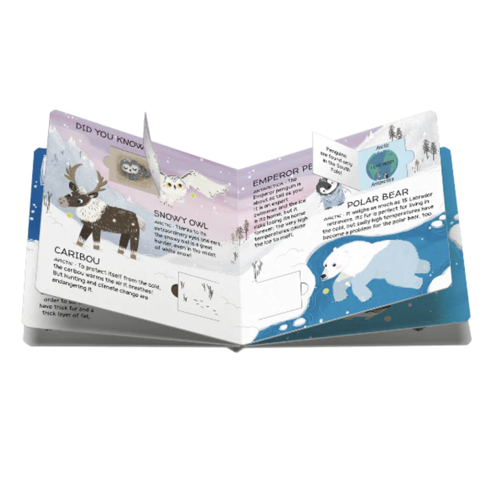 Sassi Memory Matching Game and Book - Polar Ice image 1
