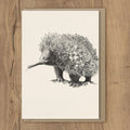 Marini Ferlazzo Gift Card Echidna image 0
