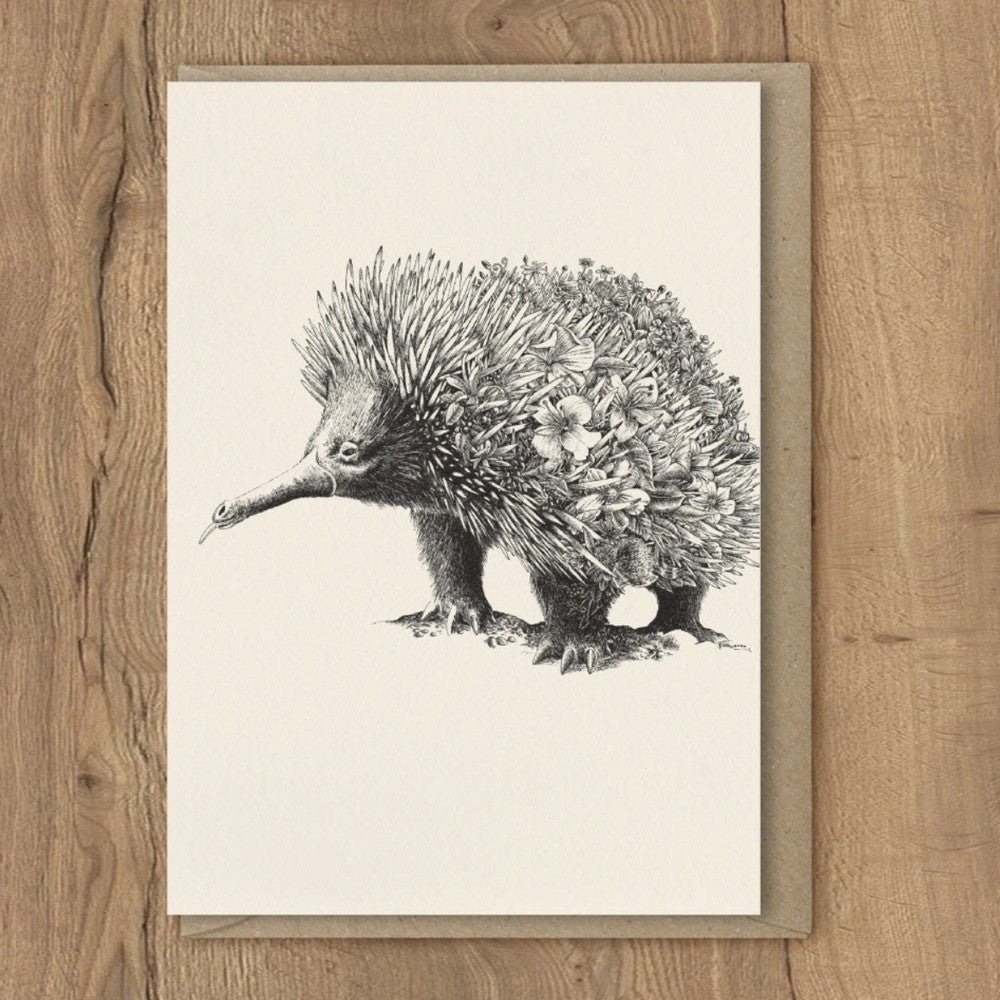 Marini Ferlazzo Gift Card Echidna image 0
