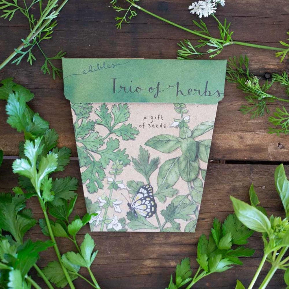 Sow n Sow Edible Trio of Herbs image 1