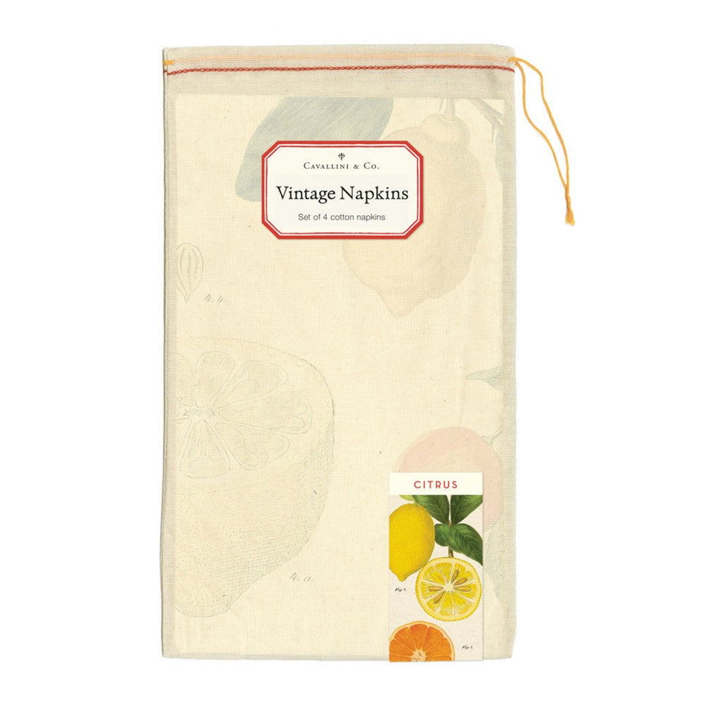 Vintage Napkins 100% Natural Cotton Set of 4 Citrus image 1
