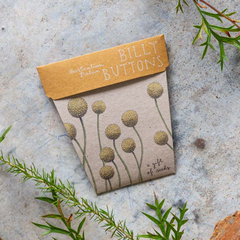 Sow n Sow Billy Buttons