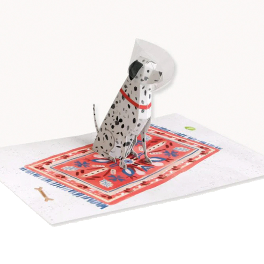 Pop Up Feel Better Dalmatian Card